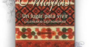 Chiapas un lugar para vivir