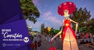 día de muertos 2025 comitan